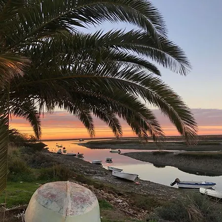 Apartment Baixa De Rooftop *