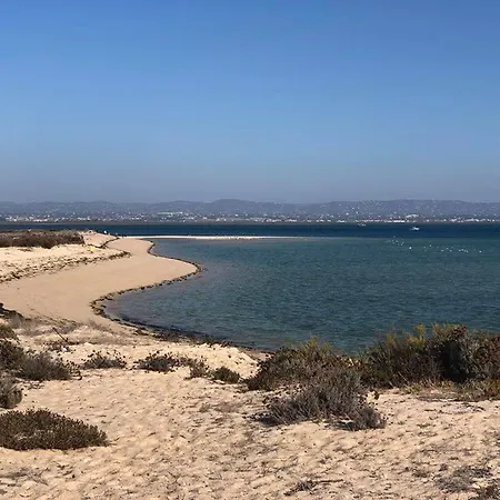Baixa De Rooftop Apartment
