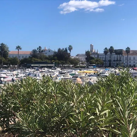 Apartment Baixa De Rooftop