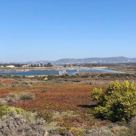 Apartment Baixa De Rooftop