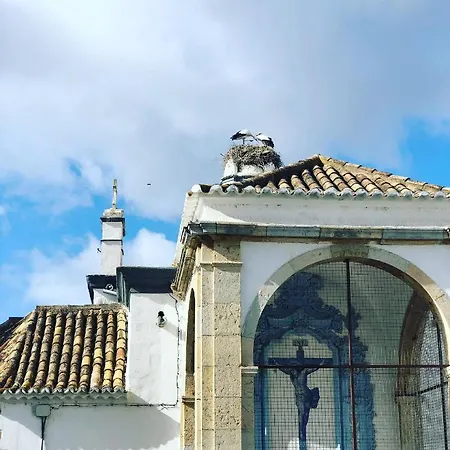 Apartment Baixa De Rooftop *