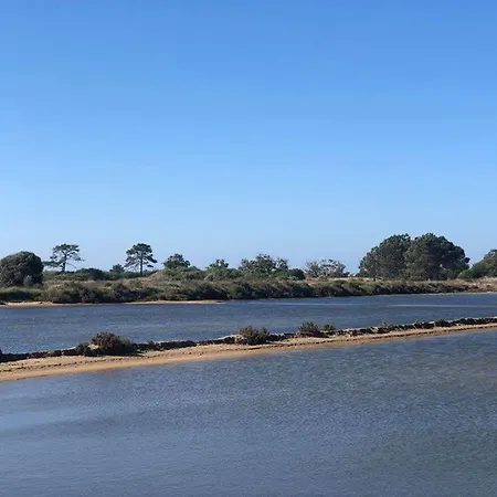 Baixa De Rooftop Apartment Distrikt Faro