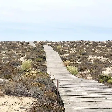 Apartment Baixa De Rooftop *