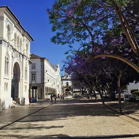 Baixa De Rooftop Apartment