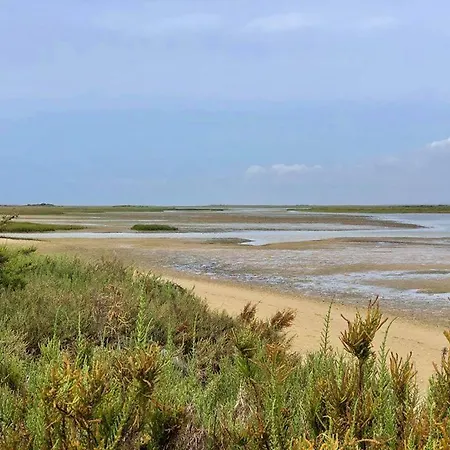 Baixa De Rooftop Apartment