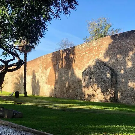 Baixa De Rooftop Apartment