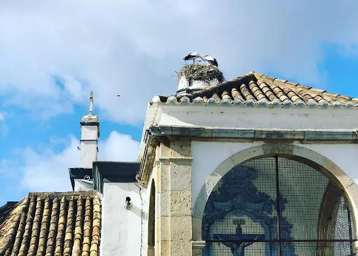 아파트 Baixa De Rooftop *