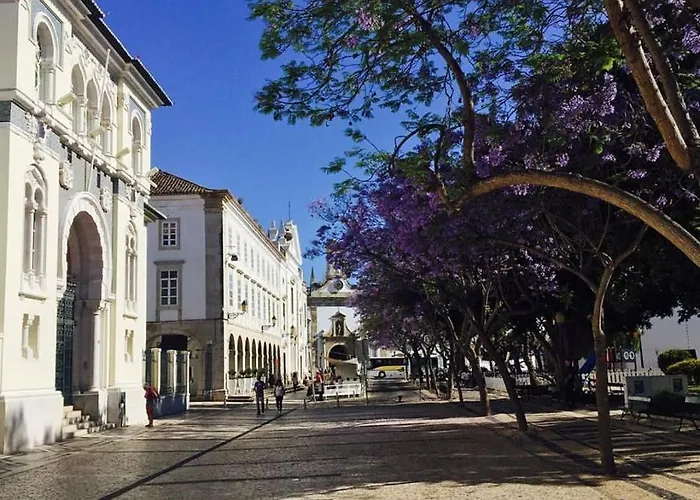 Baixa De Rooftop 아파트